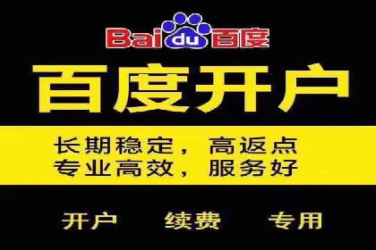 百度SEM竞价案例：揭秘高效广告投放策略