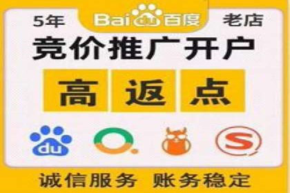 百度推广运营策略案例：品牌提升的捷径